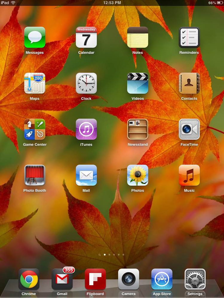 Apple iPad Mini review screenshot home iOS tablet