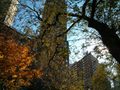 Google Nexus 4 Review camera outdoor buildings android phone