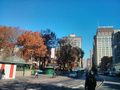 Google Nexus 4 Review camera outdoors android phone