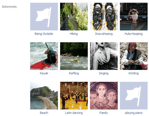 fb friends interest