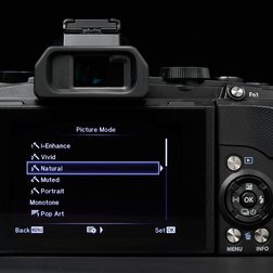 Olympus Stylus 1 rear display Picture Mode