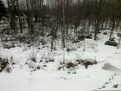 Lenovo ThinkPad Tablet 2 Review sample photo snow