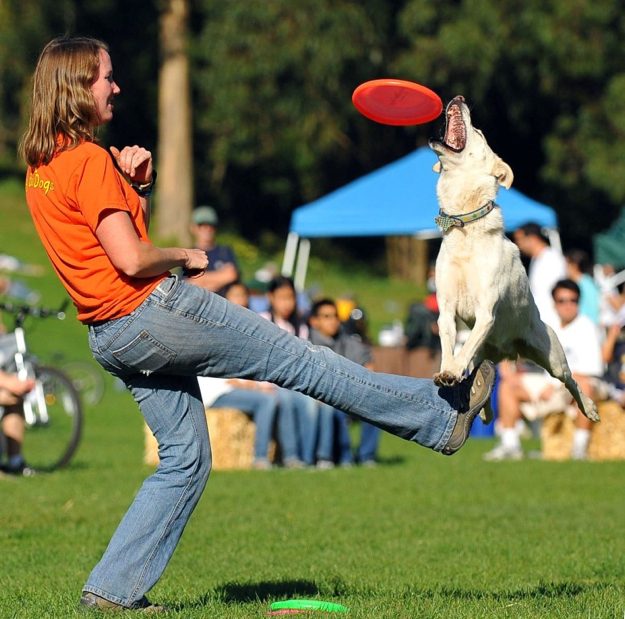 Shooting animals in action takes patience, high shutter speeds, and lots and lots of practice.