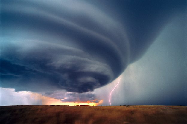 Jim Reed Storm
