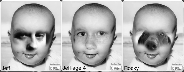 Pet Baby version of Jeff and dog Rocky