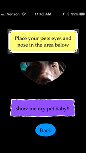 Pet Baby app