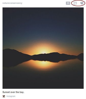 How to use Tumblr: Reblogging
