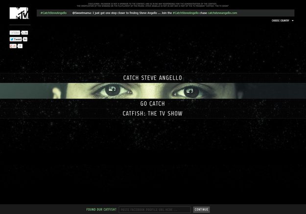 steve angello catfish