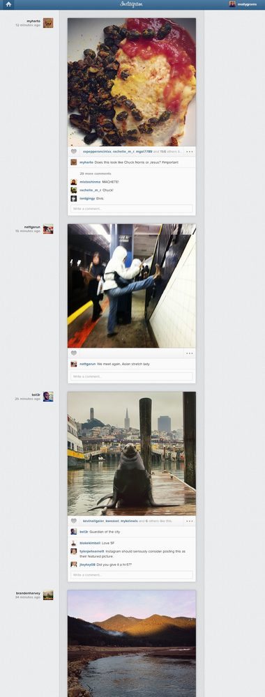 instagram web view
