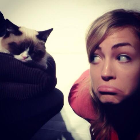 grumpy cat