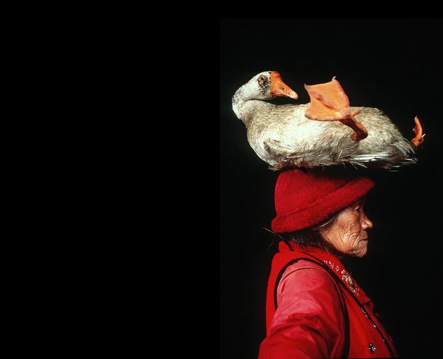Cristina Mittermeier duck