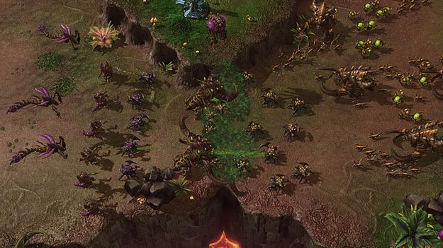 Zergs