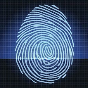 Fingerprint (shutterstock, nrey)