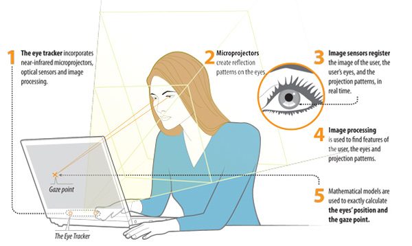 tobii eye tracking step by step web
