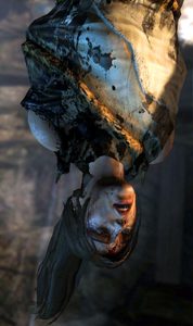 tomb raider 2013 screenshot