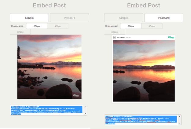 vine embed post page