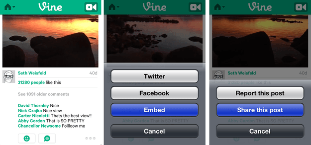vine embed