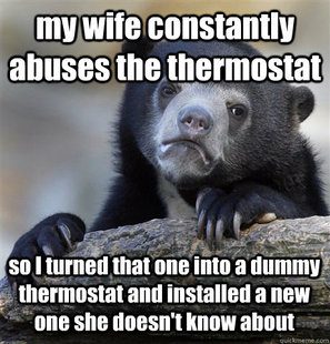 confession bear example