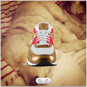 instagram dog shoes