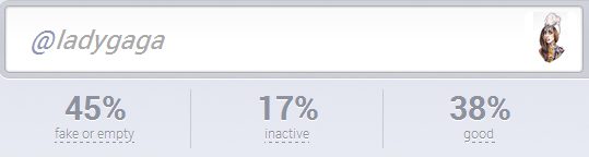fake-followers-gaga