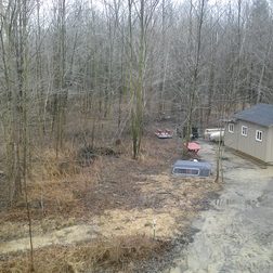 lg lucid 2 sample image 1