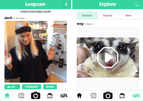 loopcam explore