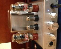 wooaudio300b