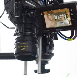 Is the cursor dead LIGHT LIGHT making of do not touch video