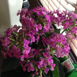 Nokia Lumia 928 sample image 1