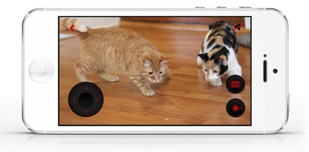 Petcube-iOS-interface