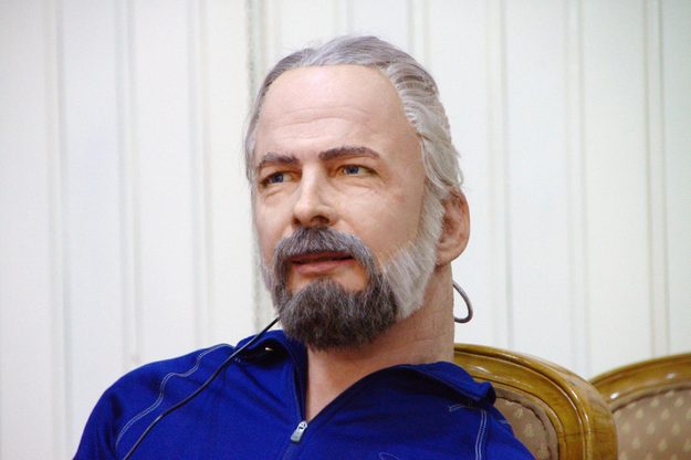 Philip K Dick Hanson