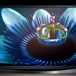 A close-up of a flower's center on a Samsung PN60F8500 Plasma TV. front main