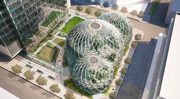 amazon spheres