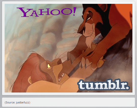lion king tumblr