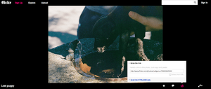 new flickr ui full screen