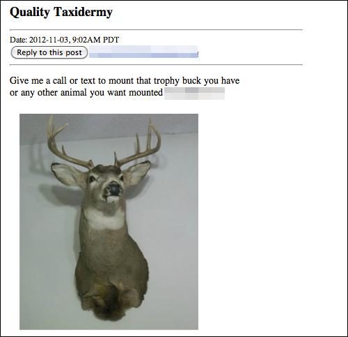 taxidermy1