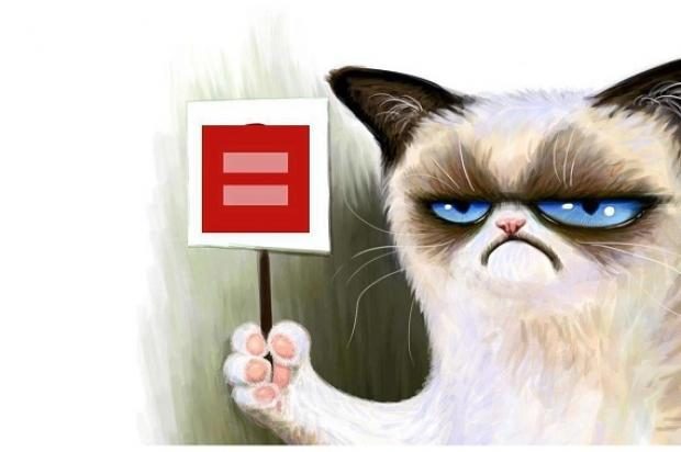 marriage equality campaign