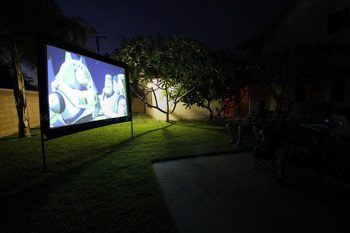 Yardmaster Backyard