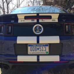 Ford Mustang Shelby GT 500 rear