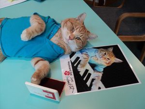 famous keyboard cat