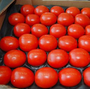 Laser Food tomatoes