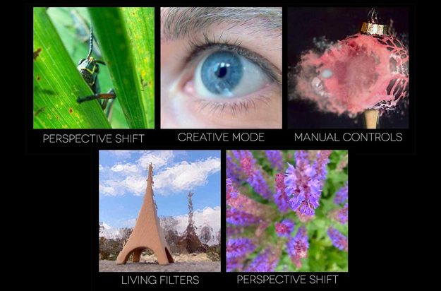 Lytro image options