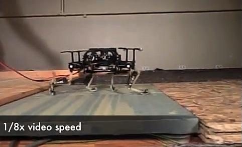 biorob robot