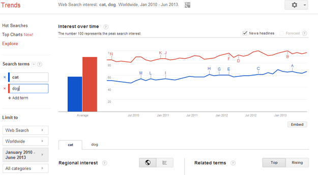 cat v dog google trends