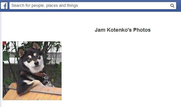 facebook photo comment album
