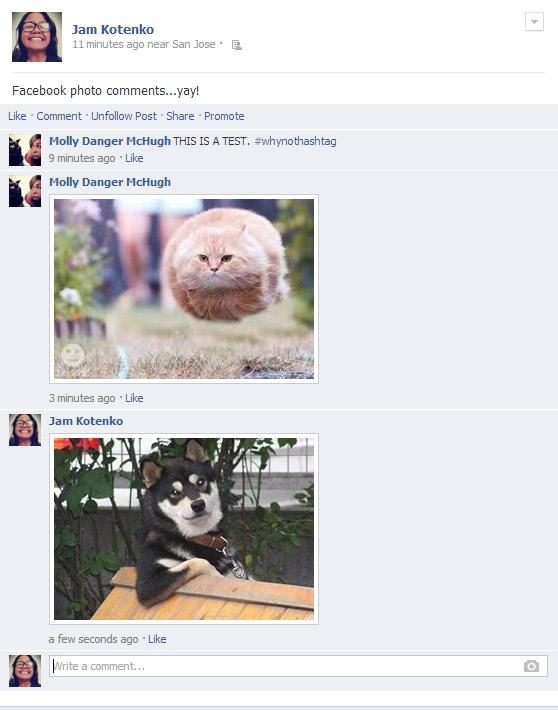 facebook photo comment test