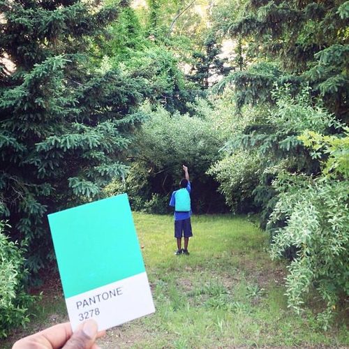 pantone project 3728