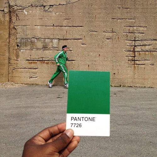 pantone project green jogger