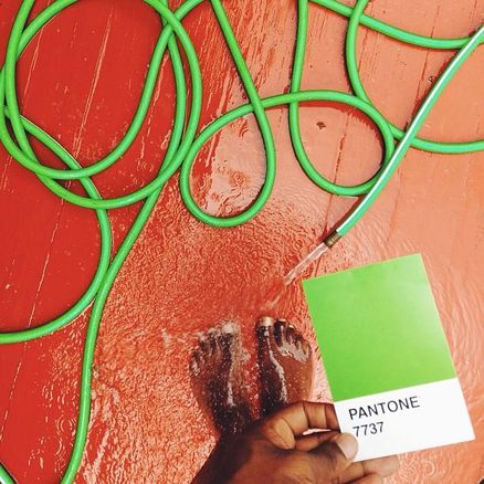 pantone project green