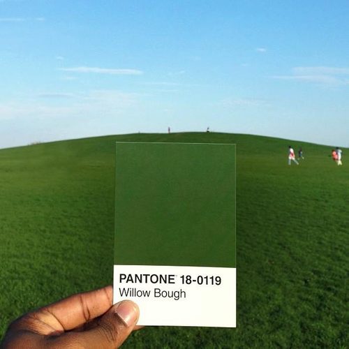 pantone project willow